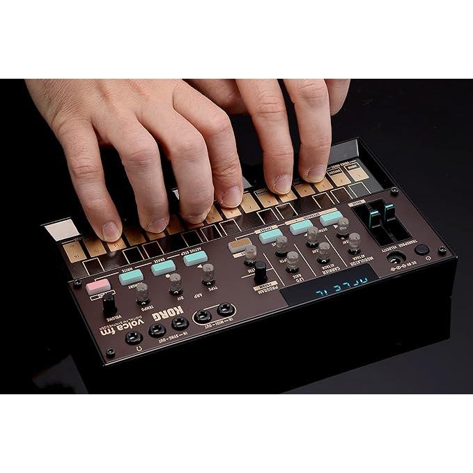 KORG(コルグ) FMシンセサイザー 6ボイス コーラス リバーブ 電池駆動 スピーカー内蔵 ヘッドホン使用可 どこでも使えるコンパクトサイズ volca fm2