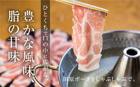 国産 豚肉 食べ比べ 500g × 計 1.5kg しゃぶしゃぶ用 ロース 肩ロース バラ 冷凍 田原ポーク 小分け 100g ずつ 個包装