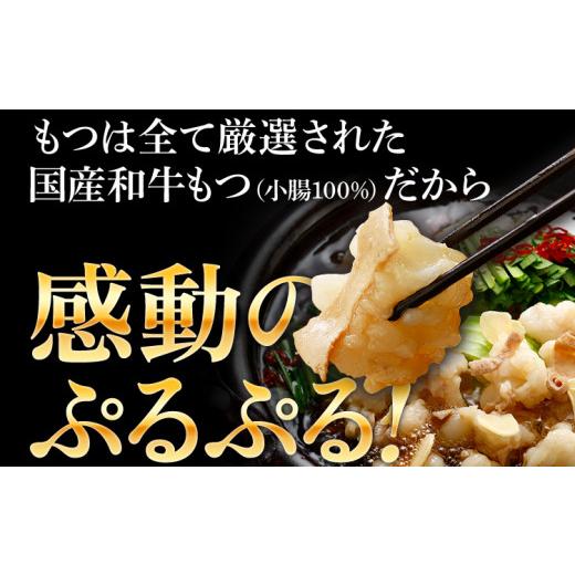 ふるさと納税 福岡県 みやこ町 和牛もつ鍋 醤油味 5人前（5人前×1セット）