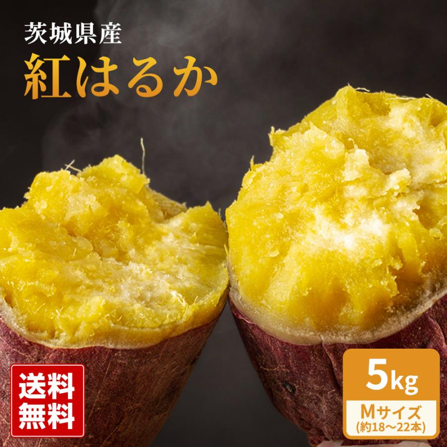 新物  紅はるか 甘いさつまいも 茨城県産 約5kg Mサイズ 約18〜22本 丸進青果セレクト 丸進青果 さつまいも さつま芋 芋 スイートポテト 紅はるか