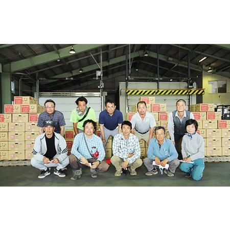 ふるさと納税 12-25茨城県産大玉すいか1玉（約6〜7kg） 茨城県下妻市