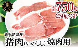 鹿児島県南さつま産 猪（いのしし）肉　焼肉用 750g（250g×3P） 冷凍 グルメ ジビエ肉 ジビエ イノシシ 焼肉 焼肉セット