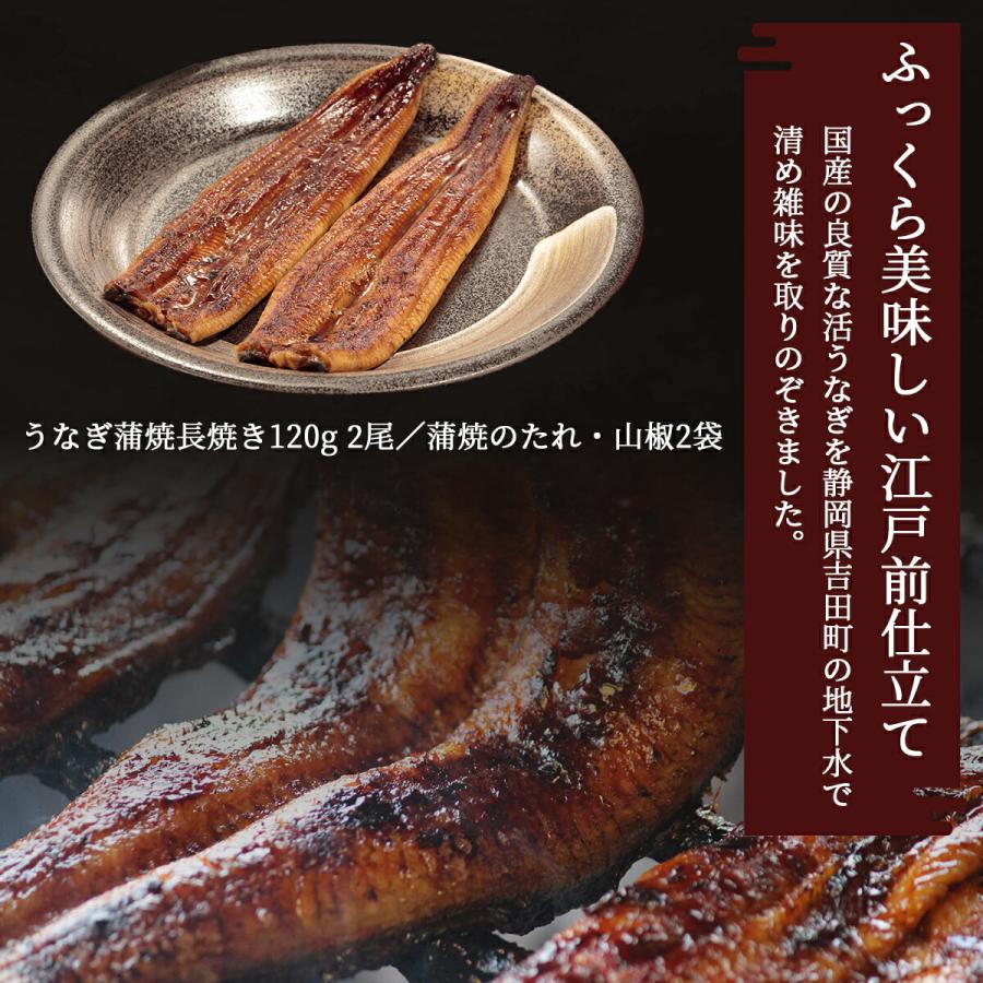 国産うなぎ蒲長焼セット 2尾セット 丑の日 うなぎ 土用の丑の日 うなぎセット 父の日 ギフト プレゼント 贈呈用 敬老の日 贈答 お祝 冷凍 鰻 ウナギ 鰻丼 蒲焼