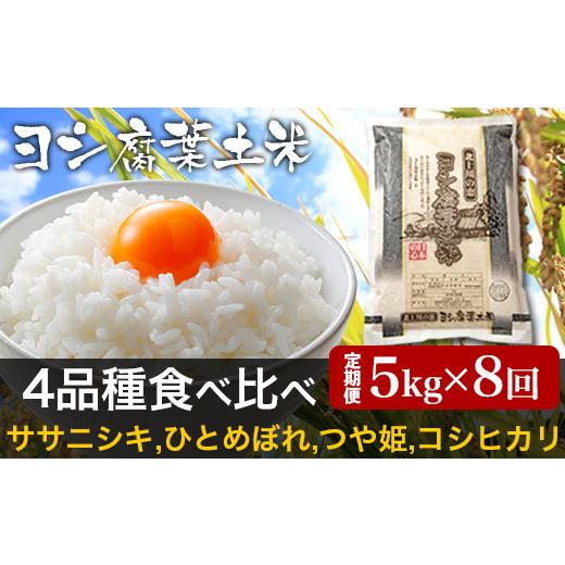 ふるさと納税 宮城県 石巻市 ＜定期便8回＞令和5年産 ヨシ腐葉土米