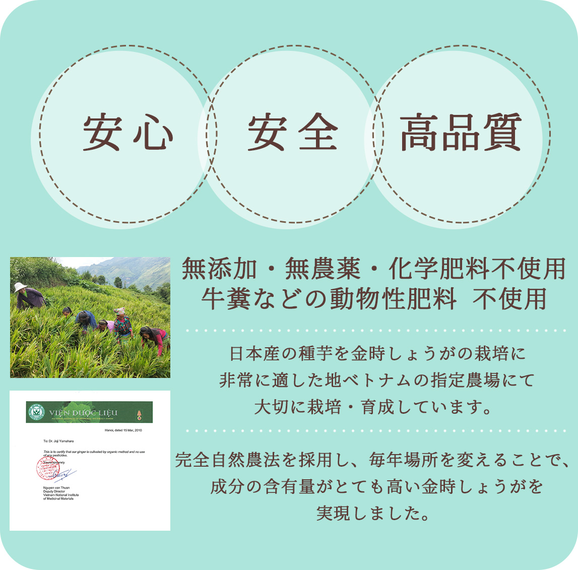 金時しょうが 粒タイプ 120粒 無添加・無農薬栽培された純粋な金時ショウガを使用！