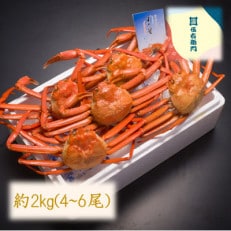 ボイル紅ズワイ蟹　約2kg(4～6尾)