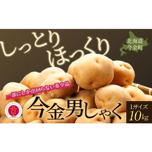 ふるさと納税 北海道 今金町 今金男しゃく（Lサイズ）約10kg（2024年10月発送） じゃがいも 男爵 いも だんしゃく 野菜 幻 北海道 …