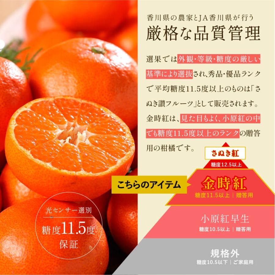 (12月上旬頃より発送) 香川県産 金時紅みかん 秀品 S〜Mサイズ 2.5kg 化粧箱入り みかん 香川 フルーツ お歳暮 ギフト