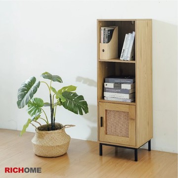 RICHOME 布萊恩單門書櫃 書櫃 收納櫃 置物櫃 BO405