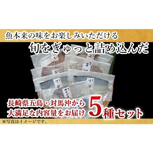 ふるさと納税 佐賀県 唐津市 「お歳暮」旬魚のひと塩切身 1枚70g~90g 全8枚でお届けします ぶり90g×2切 さば90g×2切 真鯛70g×2切 さわら90g×1切 かんぱち9…