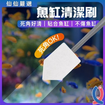 (仙仙) 魚缸清潔刷 青苔刷 魚缸刷 魚缸刮藻工具 水族刷具 強效去藻刷 不傷玻璃 死角清潔神器 水族箱必備 清潔用品