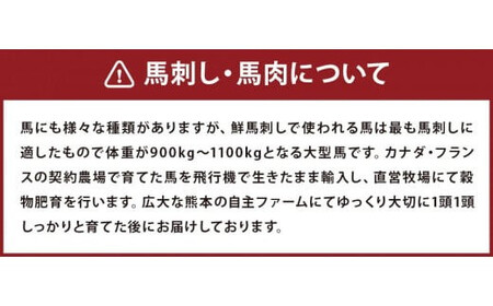 鮮馬刺しスライス馬肉惣菜 10種セット 合計約1kg 馬肉 馬刺し 馬刺 熊本馬刺し 赤身 大トロ 霜降り ロース