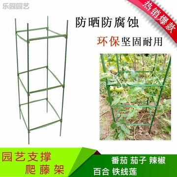 西紅柿番茄攀爬支架黃瓜架爬藤植物支架茄子架豆角種菜架支柱園藝園藝用品