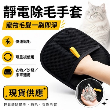隔日到貨 寵物靜電除毛手套 貓毛狗毛去毛神器 可重複使用 衣服沙發床單除毛刷 寵物清潔美容用品