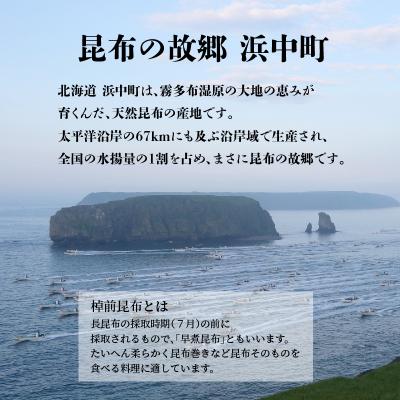 ふるさと納税 浜中町 さらだ昆布　4個