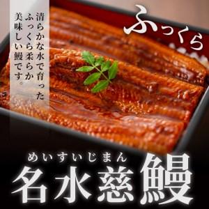 ふるさと納税 鹿児島県産うなぎ蒲焼 名水慈鰻 大9尾(1尾156g以上)＜計1.4kg以上＞ e8-001 鹿児島県志布志市