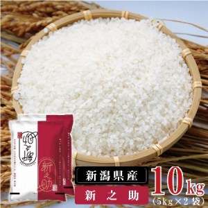 《新米》米 10kg 新潟県産 新之助 令和5年産 津川産 5kg × 2袋 白米 精米 しんのすけ 送料無料 お取り寄せ お米