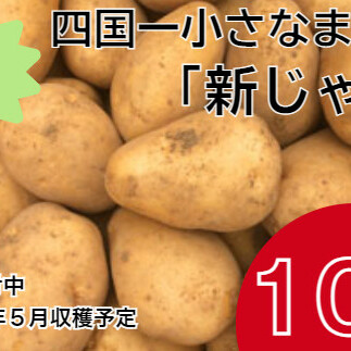 ★先行受付：2024年5月発送開始★大野台地で採れた 令和6年産新じゃがいも『デジマ』10kg 訳あり品 10キロ イモ ジャガイモ 芋 いも ポテト 野菜 おいしい 旬 国産 お取り寄せ 送料無料