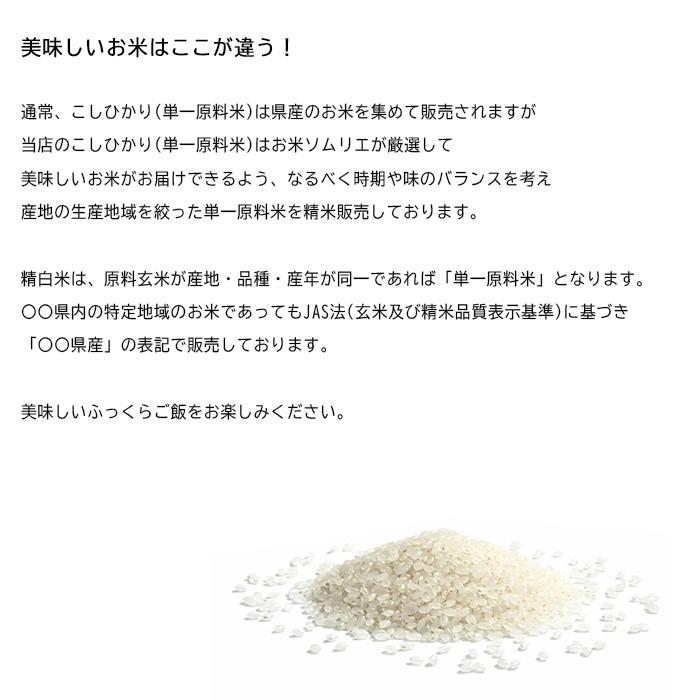 米30kg 米 お米 30kg コシヒカリ こしひかり 5kg×6袋 セット 送料無料 こめ 小分け 精米 つきたて米 宮崎県産