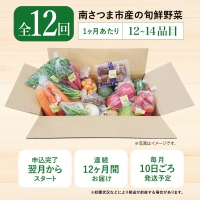 旬鮮野菜と果物のセット（12～14品目）