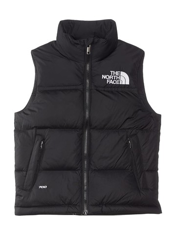 the north face vest