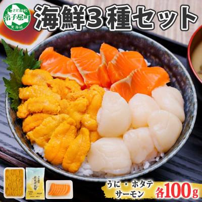 ふるさと納税 弟子屈町 ウニ・ホタテ・サーモン切り身 各100g 海鮮丼セット 北海道 弟子屈町 1989