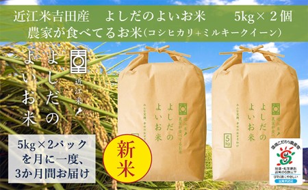 令和5年産新米　よしだのよいお米 近江米農家が食べてるお米　10kg×3回