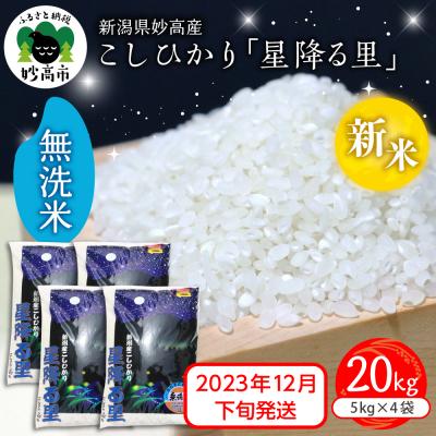 ふるさと納税 妙高市 新潟県妙高産こしひかり星降る里20kg無洗米