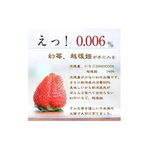 ふるさと納税 新潟県 上越市 ギフト箱入り　雪国完熟いちご越後姫　シングル（約380g）