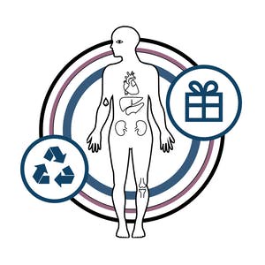 Organ Donation: From Death to Life