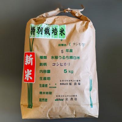 ふるさと納税 佐野市 令和5年収穫　栃木県佐野市産コシヒカリ 5kg