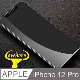 iPhone12 / 12 Pro 貼 iPhone 12 Pro 2.5D曲面滿版 9H防爆鋼化玻璃保護貼 黑色