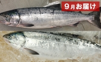 北海道オホーツク湧別産　旬の魚介類　定期便A