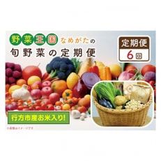 野菜王国なめがたの旬野菜の定期便(米入り)CU-137 全6回