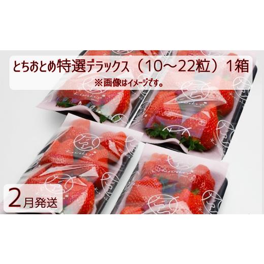 ふるさと納税 茨城県 鉾田市 「とちおとめ特選デラックス」2箱×10〜22粒入