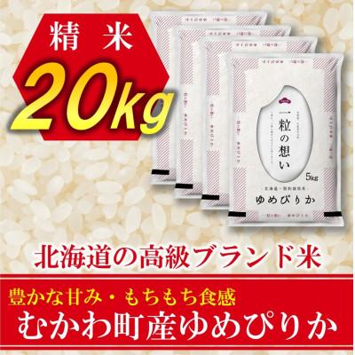 ふるさと納税 むかわ町 北海道のブランド米!北海道むかわ町産ゆめぴりか　精米20kg