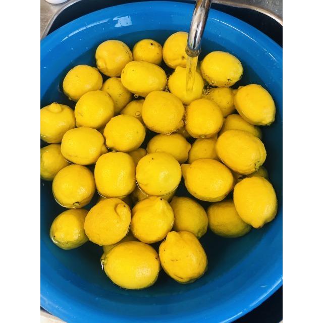 レモン果汁(冷凍）3kg（500ｇ×6）／袋入り　無添加　生しぼりレモン果汁　チリ産レモン使用　袋体での販売となります。（消費税込み）