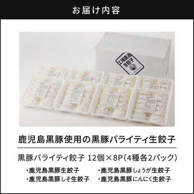 ふるさと納税 鹿児島市 鹿児島黒豚使用の黒豚バラエティ生餃子