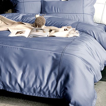 A-nice 60支長絨棉雙線刺繡花 i01簡約優雅  銀白色  King Size  1組  床包被套4件組