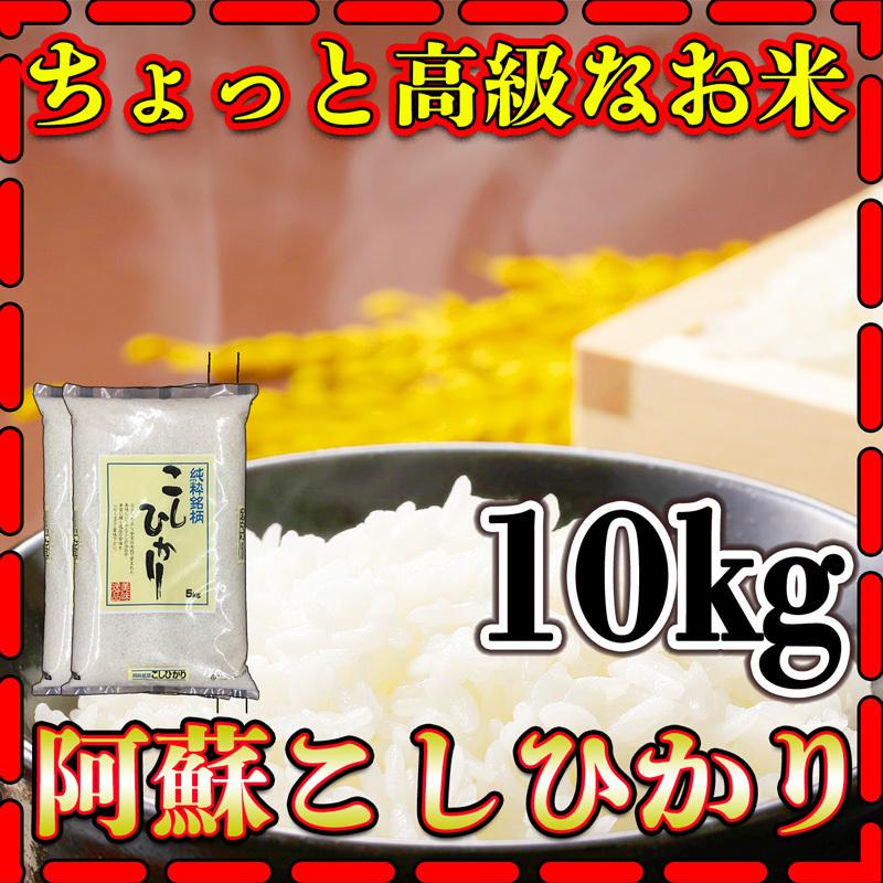 お米 米 10kg 白米 熊本県 阿蘇産 こしひかり あすつく 新米 令和5年産 コシヒカリ 5kg2個 くまもとのお米 富田商店 とみた商店