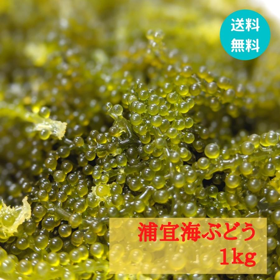 浦宜海ぶどう 1kg