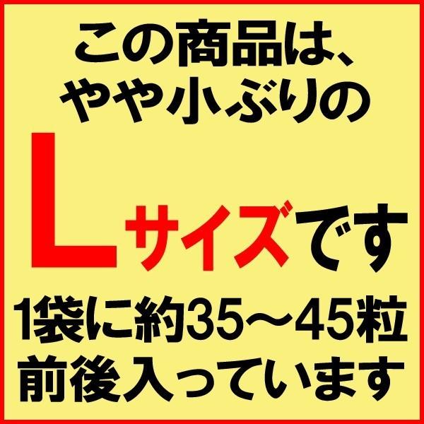 ギフト 牡蠣 かき 広島県産 広島カキ1kg(正味850g)×1袋 Lサイズ 広島産 鍋 ※送料1300円です