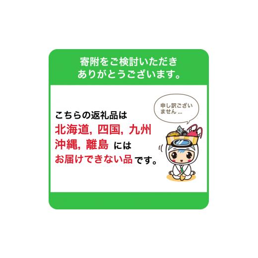 ふるさと納税 千葉県 南房総市 さつまいも紅はるか（訳あり）8kg mi0084-0001-5