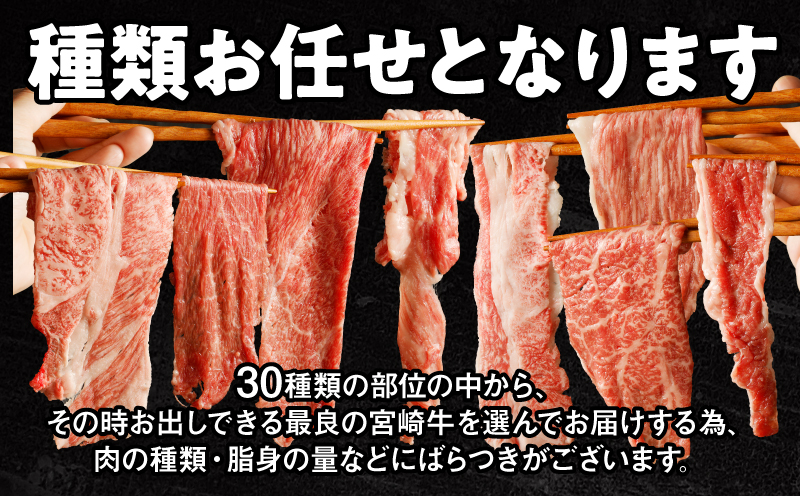 宮崎牛切り落としすき焼き用1kg(500g×2)_M155-008_03