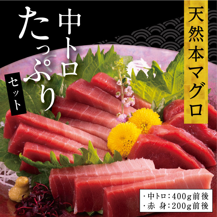 厳選天然本マグロ　中トロ たっぷりセット６００ｇ以上 本まぐろ 赤身 100% 冷凍 刺身 海鮮 丼