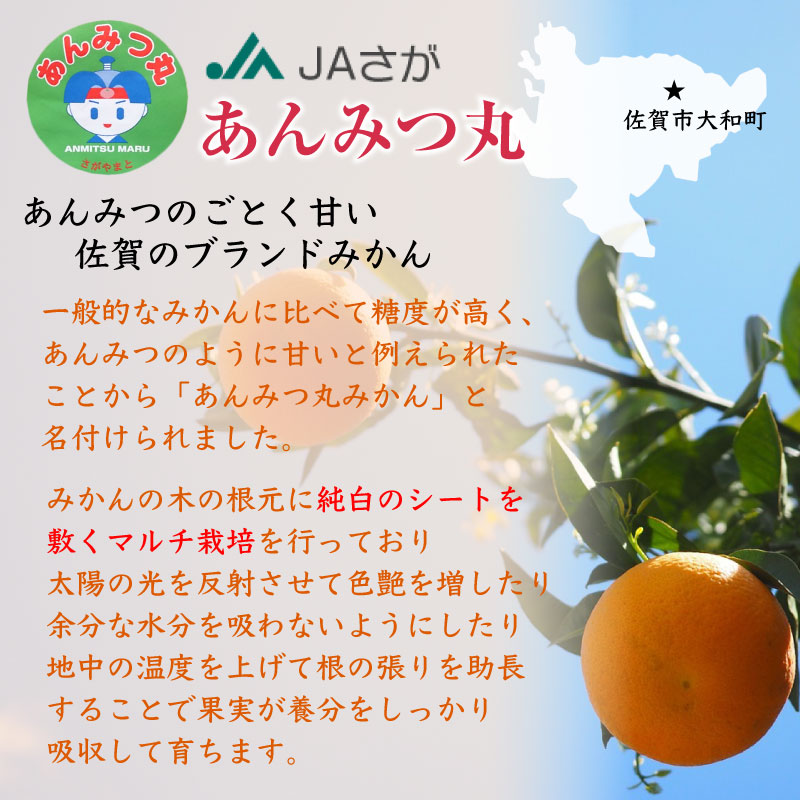 [予約 11 10から日時指定可] あんみつ丸 みかん Mサイズ 約 10kg 佐賀県産 あんみつみかん 美味しいみかん 高糖度 ミカン ギフト 箱買い 産地箱