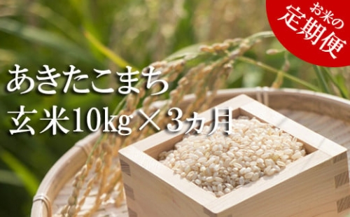  玄米 10kg （3ヶ月定期便） ／ 新米 米 産地直送 