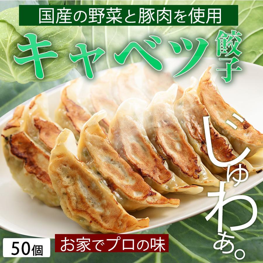 餃子 取り寄せ 業務用 冷凍 生餃子 国産素材 時短 お手軽 簡単 大容量 餃子計画 キャベツ餃子 50個入り