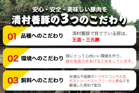 バラしゃぶしゃぶ 600g 清村養豚《60日以内に順次出荷(土日祝除く)》肉 豚 豚肉