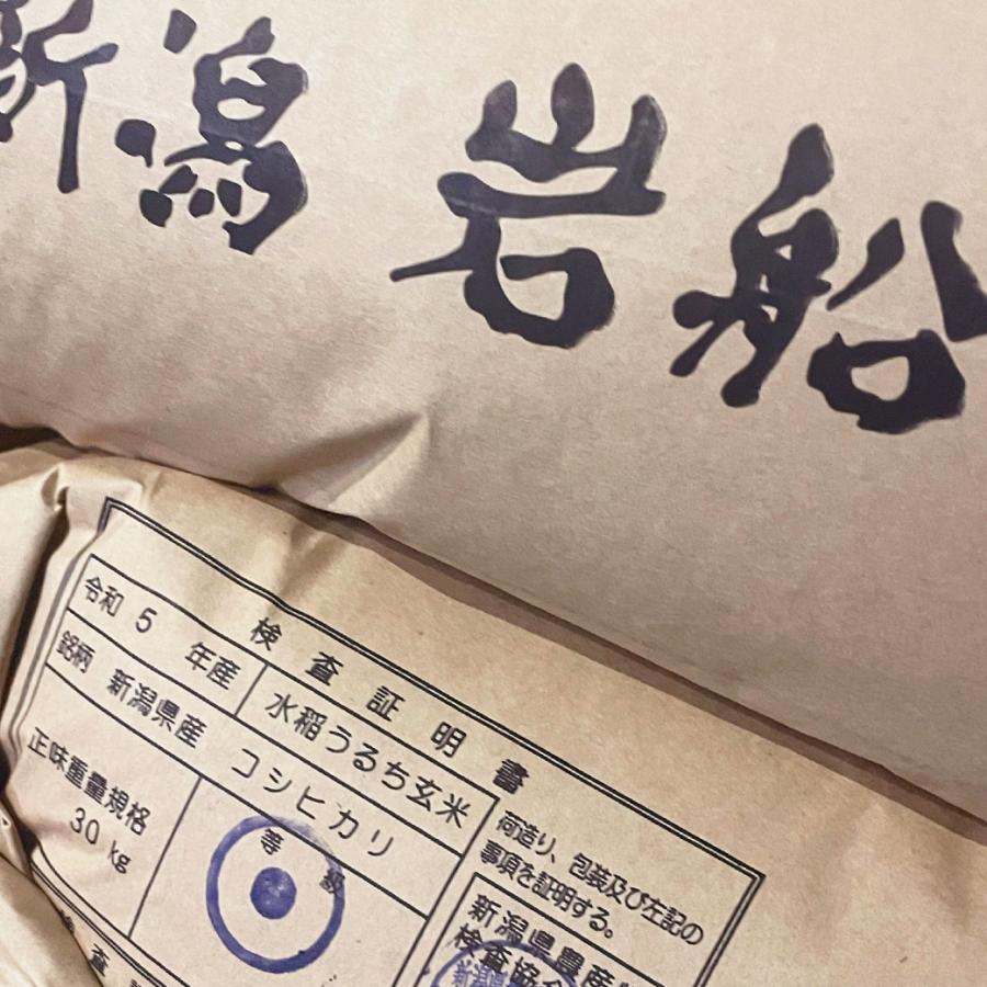 細山商店 岩船産コシヒカリ 5kg 令和3年産